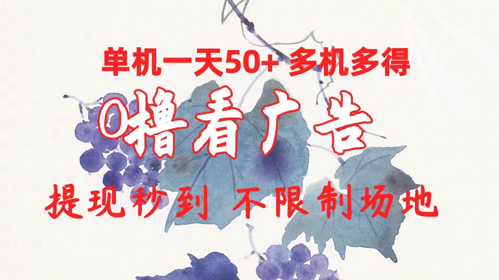 (10241期)0撸看广告 单机一天50+多机多得 提现秒到 不限制场地操作-赛德副业库