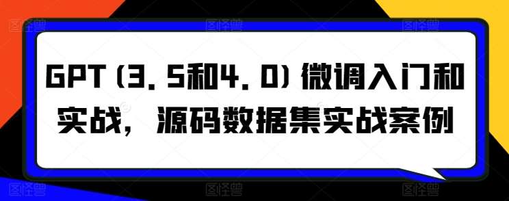 GPT(3.5和4.0)微调入门和实战,源码数据集实战案例-赛德副业库