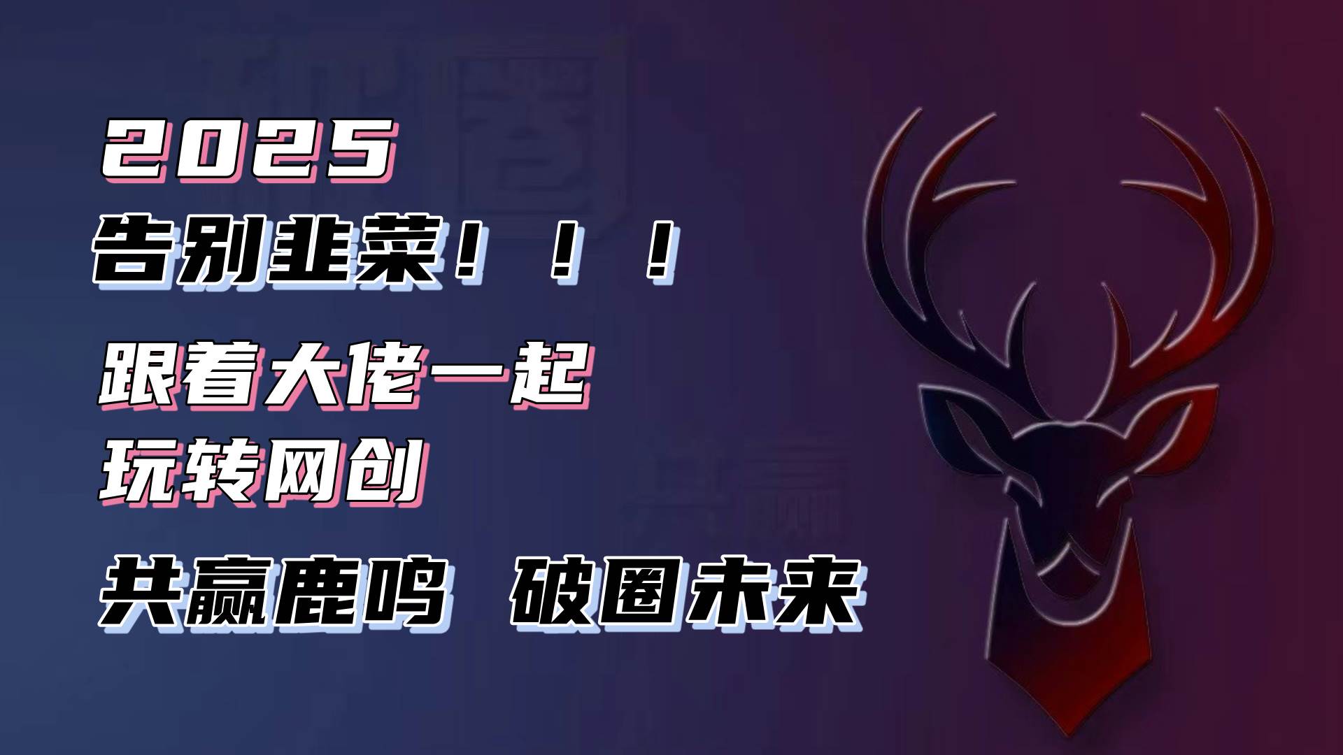 （13896期）告别韭菜！2025知识付费风口项目，小白也能闭眼操作！-赛德副业库