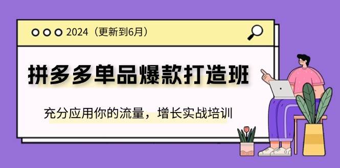（11556期）2024拼多多-单品爆款打造班(更新6月)，充分应用你的流量，增长实战培训-赛德副业库