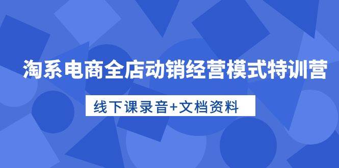 （10192期）淘系电商全店动销经营模式特训营，线下课录音+文档资料-赛德副业库