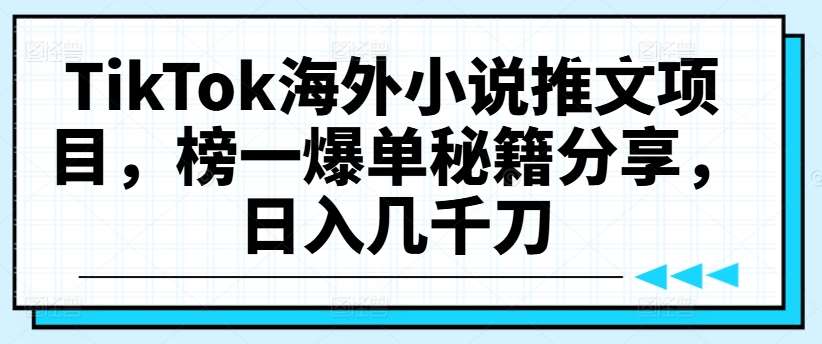TikTok海外小说推文项目，榜一爆单秘籍分享，日入几千刀-赛德副业库