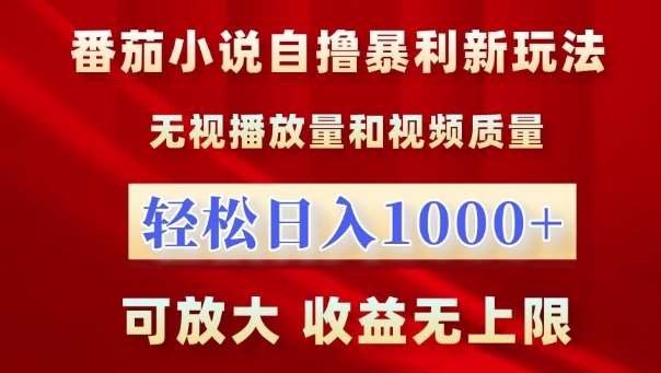 番茄小说自撸暴利新玩法，无视播放量，轻松日入1k，可放大，收益无上限【揭秘】-赛德副业库