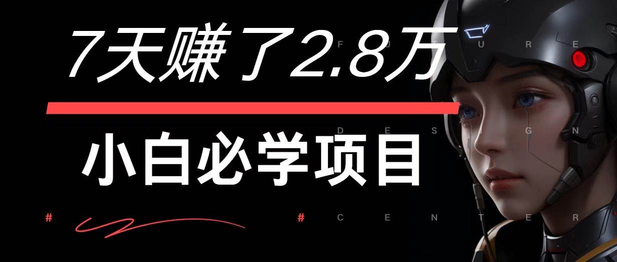 7天赚了2.8万！每单利润最少500+，轻松月入7万+小白有手就行-赛德副业库