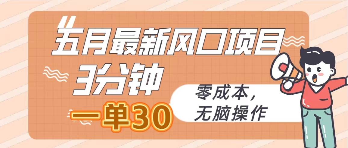 （10256期）五月最新风口项目，3分钟一单30，零成本，无脑操作-赛德副业库