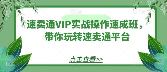 速卖通VIP实战操作速成班，带你玩转速卖通平台-赛德副业库