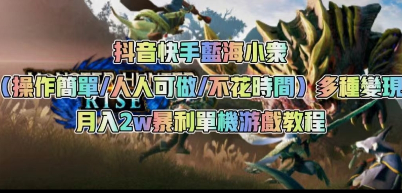抖音快手蓝海小众（操作简单人人可做不花时间）多种变现月入2w＋暴利单机游戏教程-赛德副业库