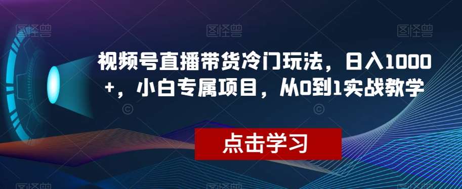 视频号直播带货冷门玩法，日入1000+，小白专属项目，从0到1实战教学【揭秘】-赛德副业库