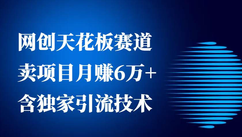 网创天花板赛道，卖项目月赚6万+，含独家引流技术（共26节课）-赛德副业库
