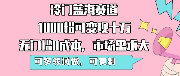 冷门蓝海赛道，1000粉可变现十W，无门槛0成本，市场需求大，可多领域做，可复制性强-赛德副业库