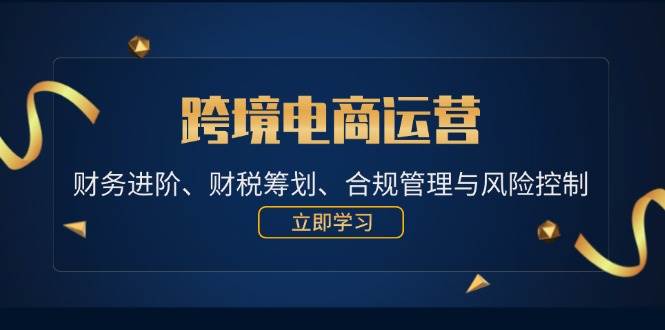 (12592期)跨境电商运营:财务进阶、财税筹划、合规管理与风险控制-赛德副业库