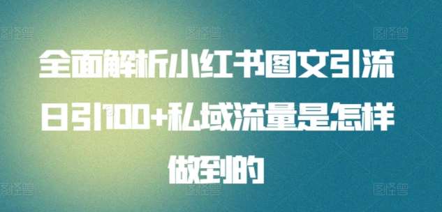 全面解析小红书图文引流日引100+私域流量是怎样做到的【揭秘】-赛德副业库