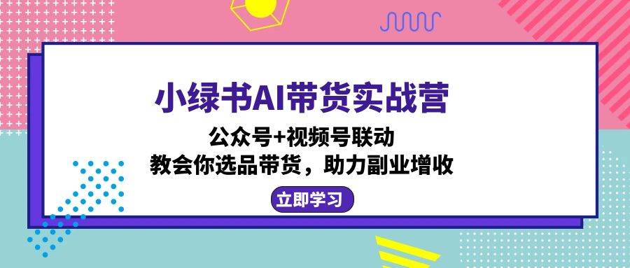 (12848期)小绿书AI带货实战营:公众号+视频号联动,教会你选品带货,助力副业增收-赛德副业库
