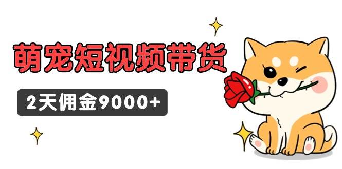 （9273期）东哲日记·萌宠短视频带货，2天佣金9000+-赛德副业库
