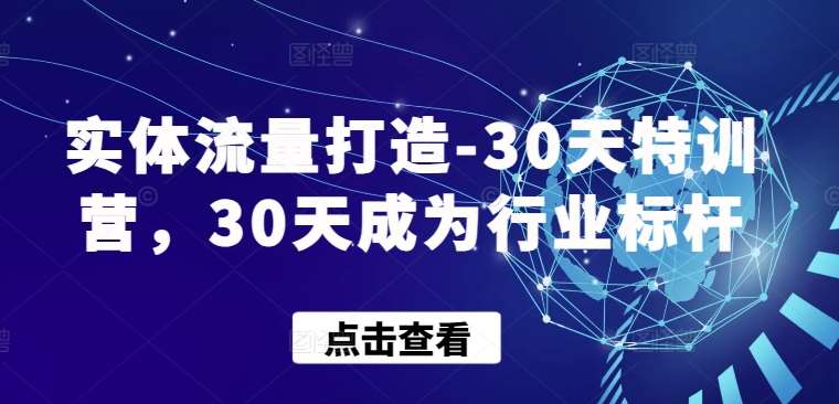 实体流量打造-30天特训营，30天成为行业标杆-赛德副业库