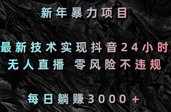 新年暴力项目，最新技术实现抖音24小时无人直播，零风险不违规，每日躺赚3000＋【揭秘】-赛德副业库