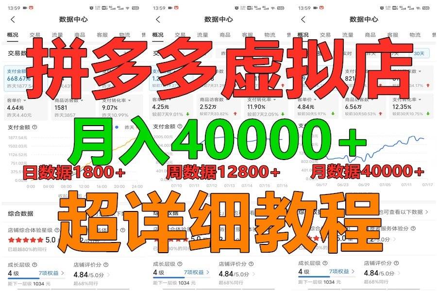 拼多多虚拟电商训练营月入40000+，全网最详细，你做你也行，暴利稳定长久-赛德副业库