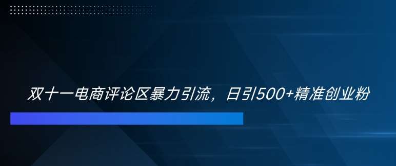 双十一电商评论区暴力引流,日引500+精准创业粉【揭秘】-赛德副业库