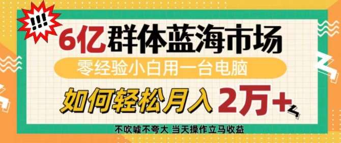 6亿群体蓝海市场，零经验小白用一台电脑，如何轻松月入过w【揭秘】-赛德副业库