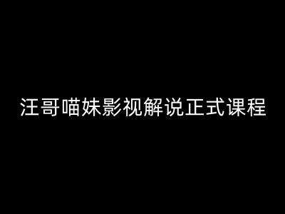 汪哥影视解说正式课程：剪映/PR教学/视解说剪辑5大黄金法则/全流程剪辑7把利器等等-赛德副业库