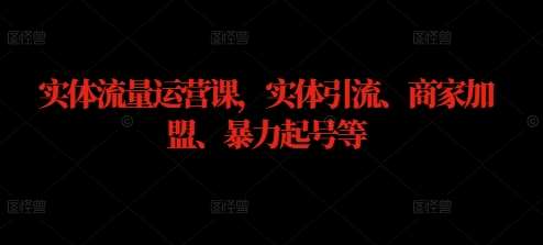 实体流量运营课，实体引流、商家加盟、暴力起号等-赛德副业库