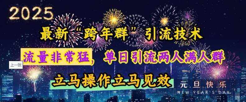 最新“跨年群”引流,流量非常猛,单日引流两人满人群,立马操作立马见效【揭秘】-赛德副业库