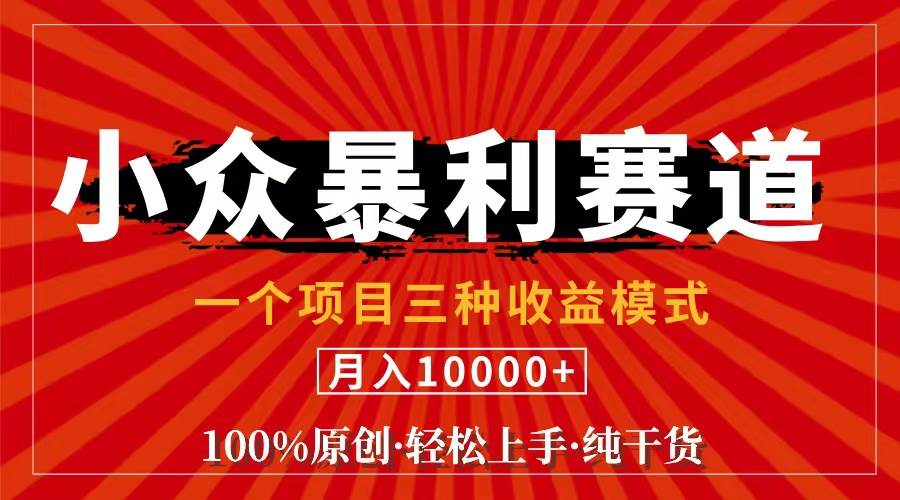 （11695期）视频号【中老年粉深信不疑】小众赛道 100%原创 手把手教学 新号3天收益…-赛德副业库