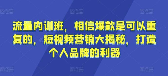 流量内训班，相信爆款是可以重复的，短视频营销大揭秘，打造个人品牌的利器-赛德副业库