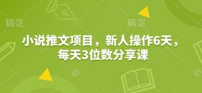 小说推文项目，新人操作6天，每天3位数分享课-赛德副业库