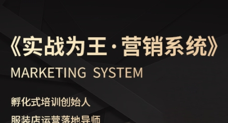 服装老板必修课《实战为王-营销系统》实现业绩被动式增长-赛德副业库