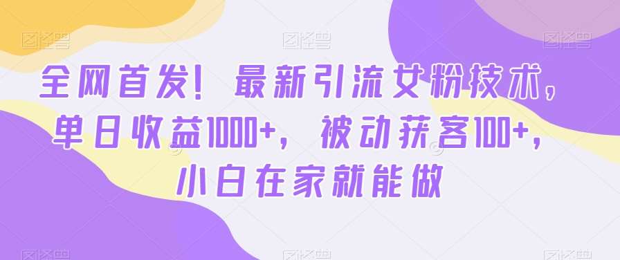 全网首发！最新引流女粉技术，单日收益1000+，被动获客100+，小白在家就能做【揭秘】-赛德副业库