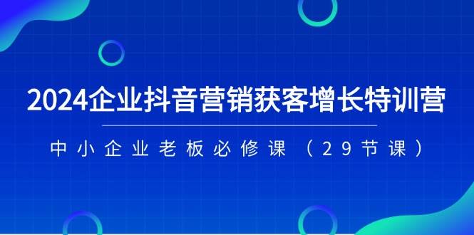 2024企业抖音营销获客增长特训营，中小企业老板必修课（29节课）-赛德副业库