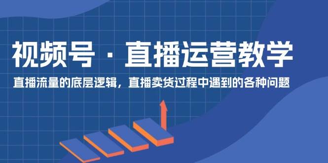 视频号直播运营教学：直播流量的底层逻辑，直播卖货过程中遇到的各种问题-赛德副业库