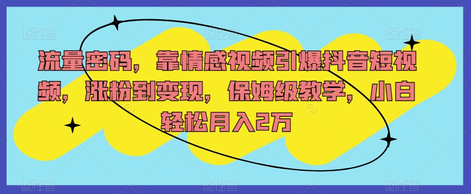 流量密码，靠情感视频引爆抖音短视频，涨粉到变现，保姆级教学，小白轻松月入2万【揭秘】-赛德副业库