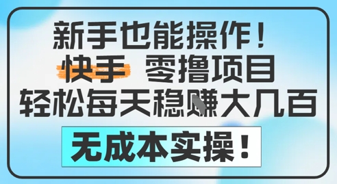 新手也能操作,快手零撸挣米,轻松每天挣2-5张,完全无成本-赛德副业库