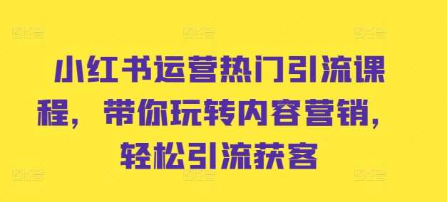 小红书运营热门引流课程，带你玩转内容营销，轻松引流获客-赛德副业库