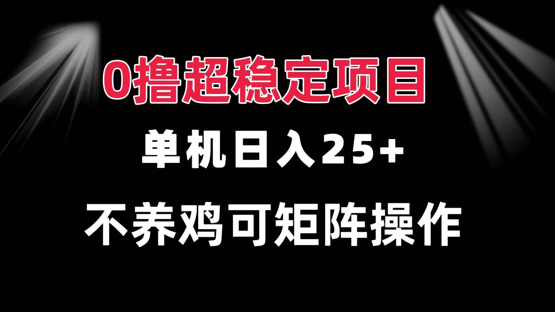 （13355期）0撸项目 单机日入25+ 可批量操作 无需养鸡 长期稳定 做了就有-赛德副业库