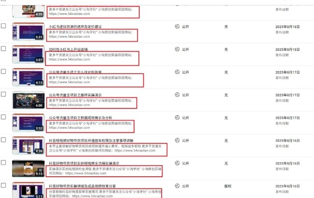 图片[2]-2025油管引流术，分享我是如何通过油管做引流的-赛德副业库