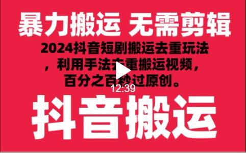 2024最新抖音搬运技术，抖音短剧视频去重，手法搬运，利用工具去重，秒过原创！-赛德副业库