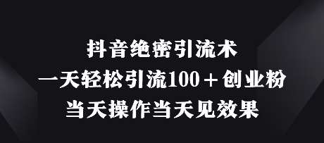 抖音绝密引流术，一天轻松引流100+创业粉，当天操作当天见效果-赛德副业库