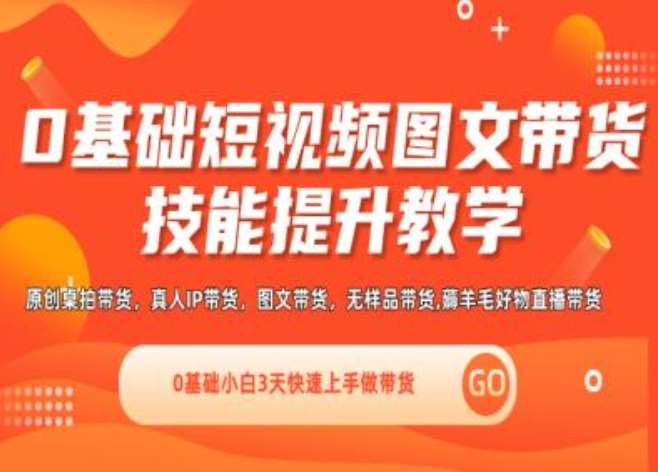 0基础短视频图文带货实操技能提升教学(直播课+视频课),0基础小白3天快速上手做带货-赛德副业库