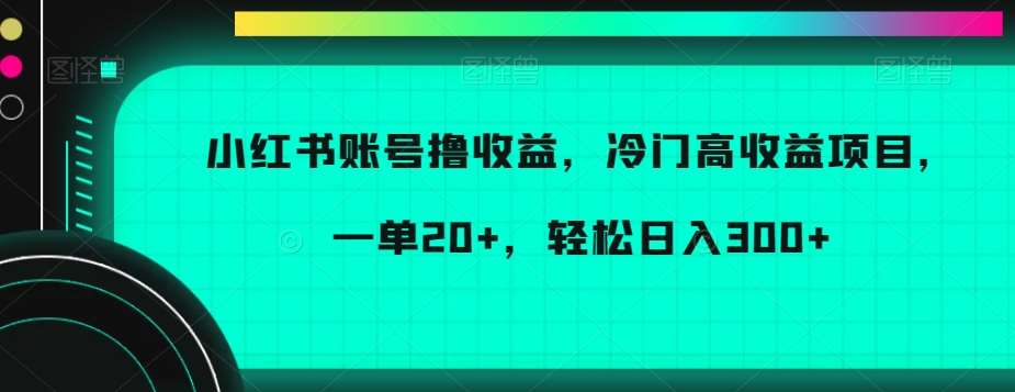 小红书账号撸收益，冷门高收益项目，一单20+，轻松日入300+【揭秘】-赛德副业库