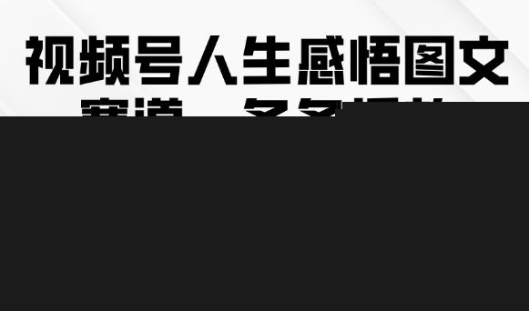视频号人生感悟图文赛道，条条播放10w+，这个方法做视频号太牛了-赛德副业库