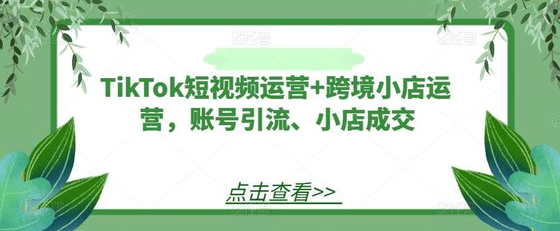 TikTok短视频运营+跨境小店运营，账号引流、小店成交-赛德副业库