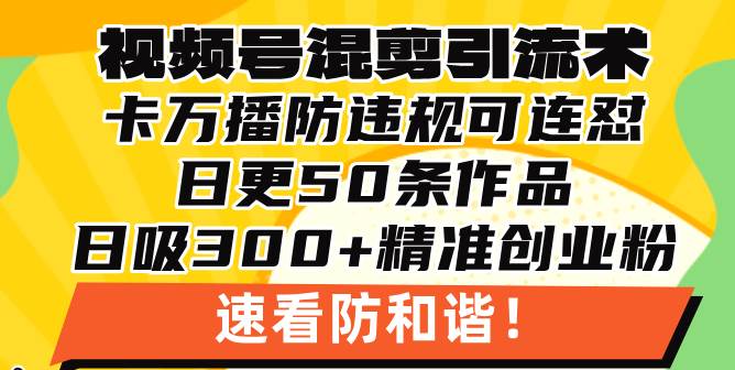 （13400期）视频号混剪引流技术，500万播放引流17000创业粉，操作简单当天学会-赛德副业库