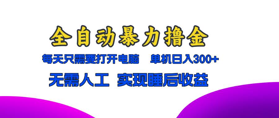 （13186期）全自动暴力撸金，只需要打开电脑，单机日入300+无需人工，实现睡后收益-赛德副业库