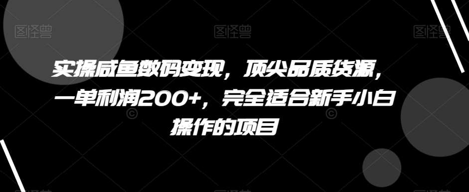 实操咸鱼数码变现，顶尖品质货源，一单利润200+，完全适合新手小白操作的项目【揭秘】-赛德副业库