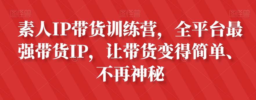 素人IP带货训练营，全平台最强带货IP，让带货变得简单、不再神秘-赛德副业库