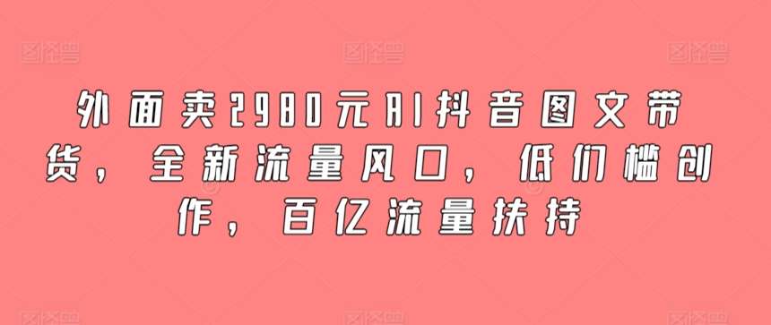 外面卖2980元AI抖音图文带货，全新流量风口，低们槛创作，百亿流量扶持-赛德副业库