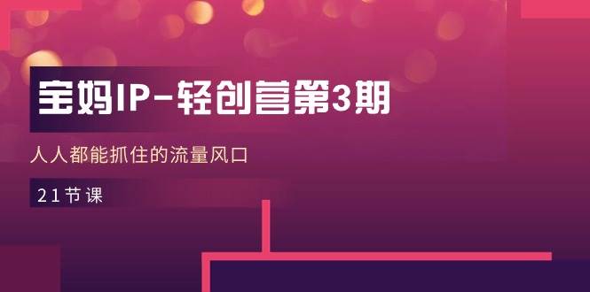 宝妈IP轻创营第3期，人人都能抓住的流量风口（21节课）-赛德副业库